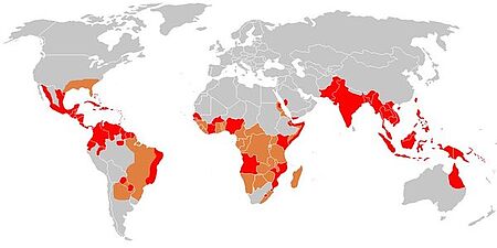 Dengue komt vooral voor in (sub)tropische landen zoals Afrika, Zuidoost-Azië, Centraal- en Zuid-Amerika en het Caribisch gebied.